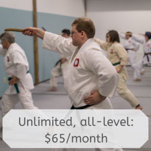 Unlimited, all-level: $65/month