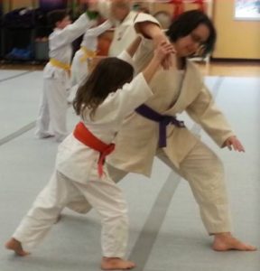 young girl and and adult woman doing an Aikido technique. The girl wears an orange belt and is throwing the adult.
