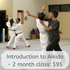 Introduction to Aikido - 2 month class: $95
